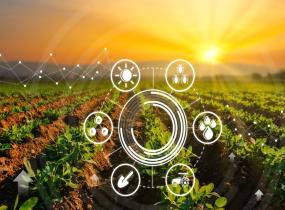 Agricultural Service Providers