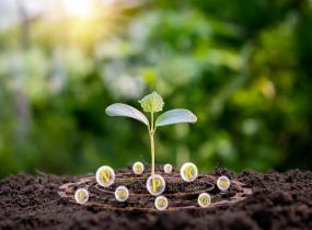 Plant Nutrition Companies