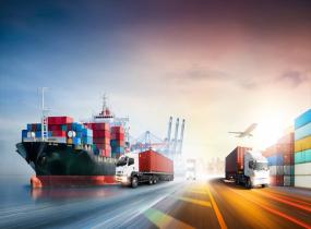 Export Companies