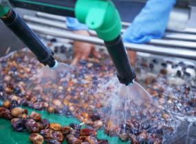 Date Processing Factories