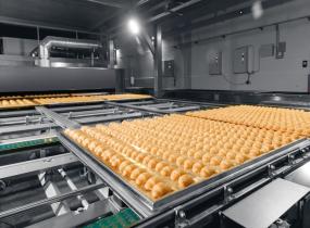 Healthy Food Manufacturers