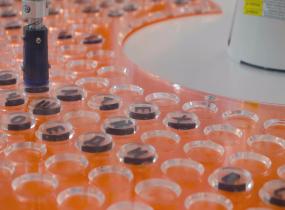 Jam Manufacturers