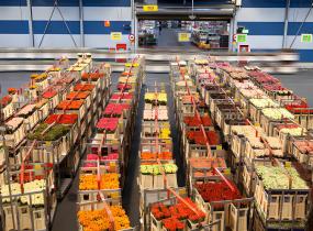 Wholesale Markets