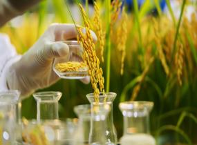 Pesticide Residue Testing Laboratories