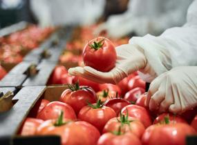 Quality Management Companies