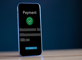 Electronic Payment Solution Providers